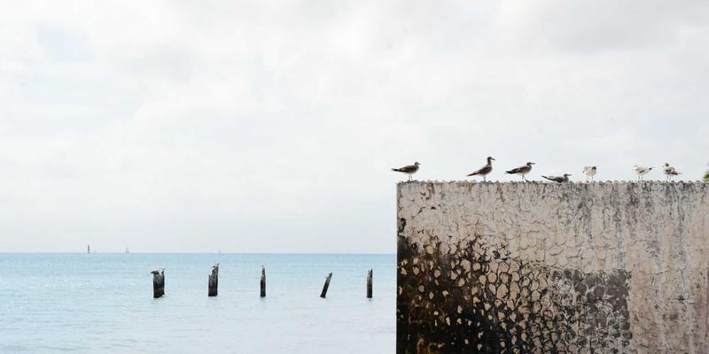 从军事历史到国防教育：筑牢国家安全的时代基石