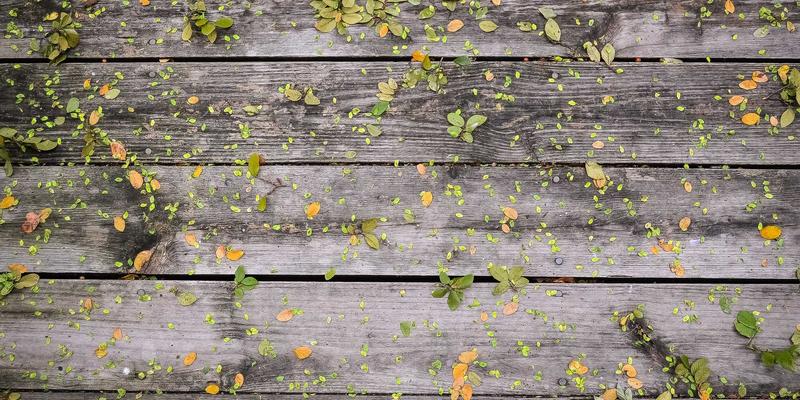 军事分析：从F-117到自适应隐身——下一代隐身技术如何引发空战革命