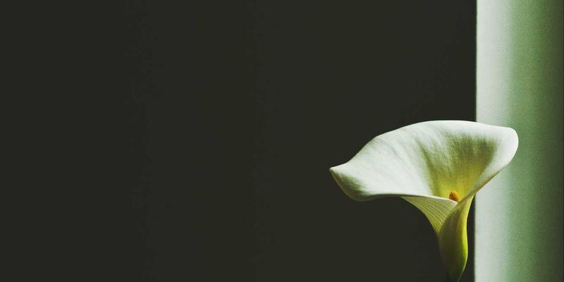 军事新闻对比：从装备解析到国防教育的多维视角