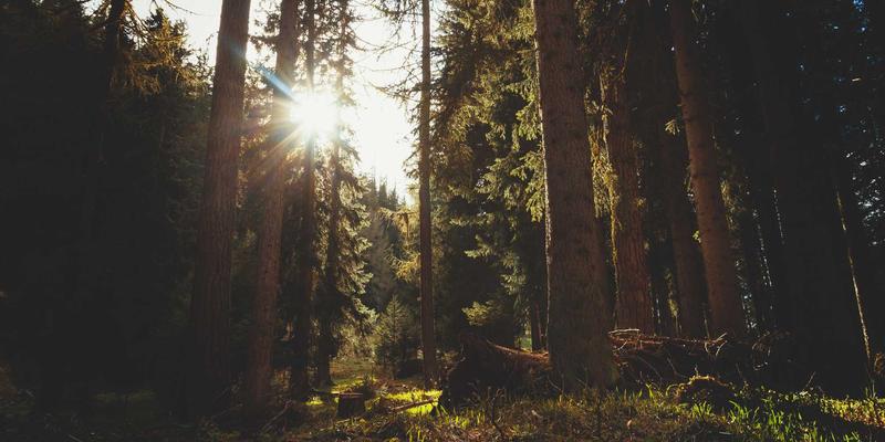 军事新闻解析：分布式海上作战（DMO）概念如何重塑海军舰队架构与作战模式