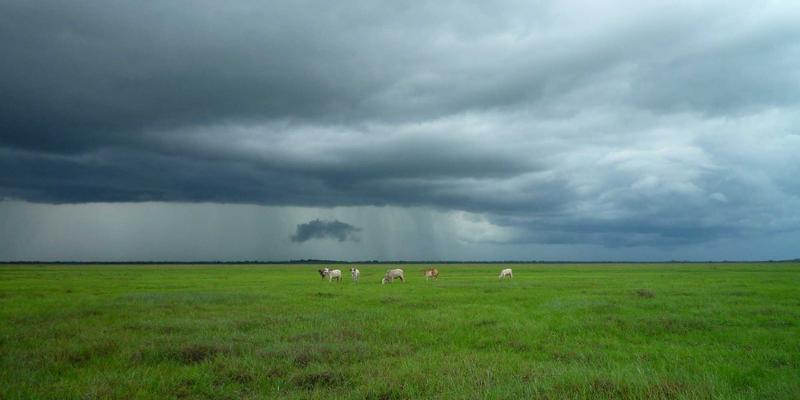 军事装备现代化与国家安全：从军事新闻98看新时代国防建设