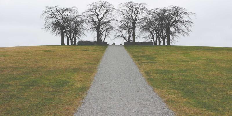 军事装备现代化与国家安全：国防教育的时代使命