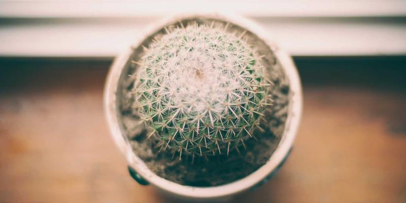 军事装备迭代与国家安全格局演变:深度军事分析视角