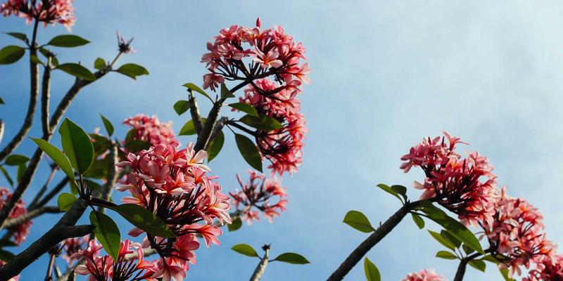 无人作战系统的伦理困境与军事新闻报道的边界探索