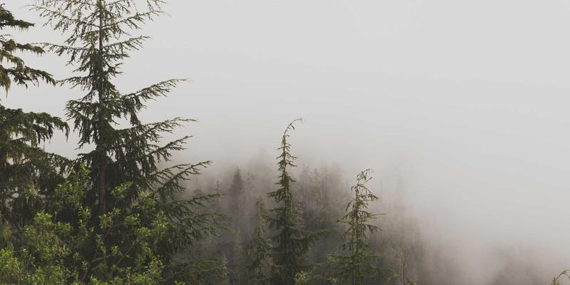 能源安全与军事基地布局：北极航道争夺中的后勤博弈